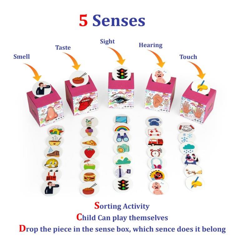 5 Sense Game - Tinycubs - 