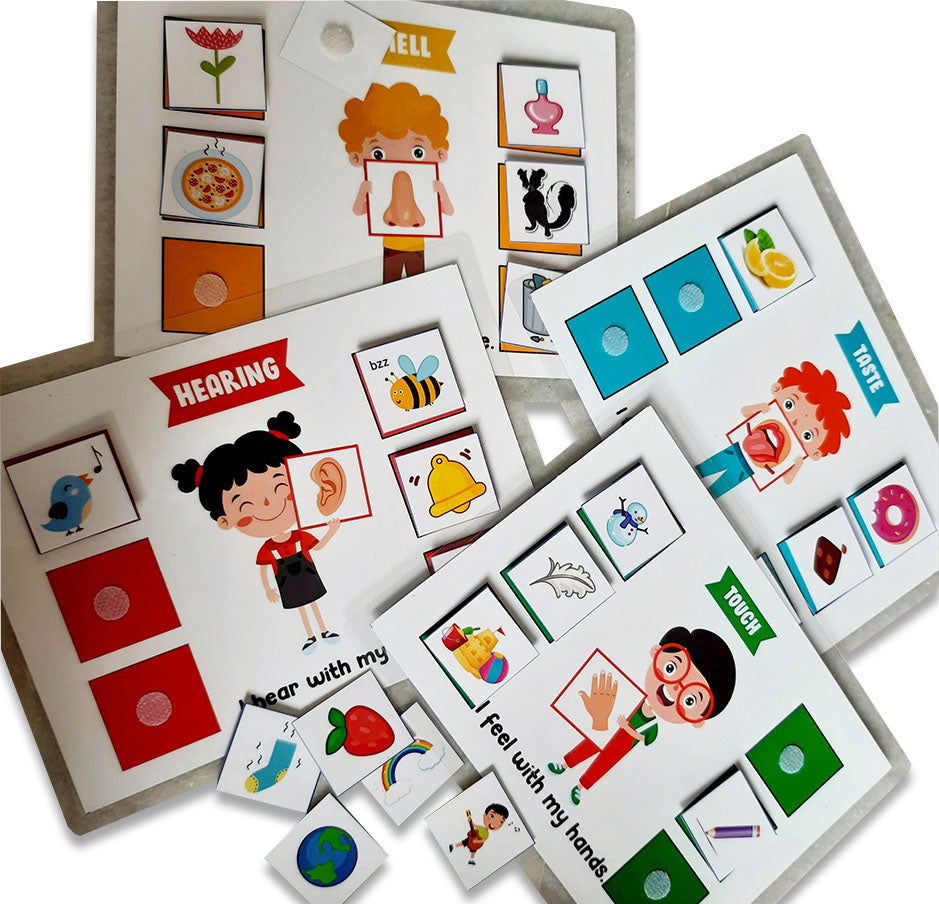 5 Senses sorting Activity Games - Tinycubs - 