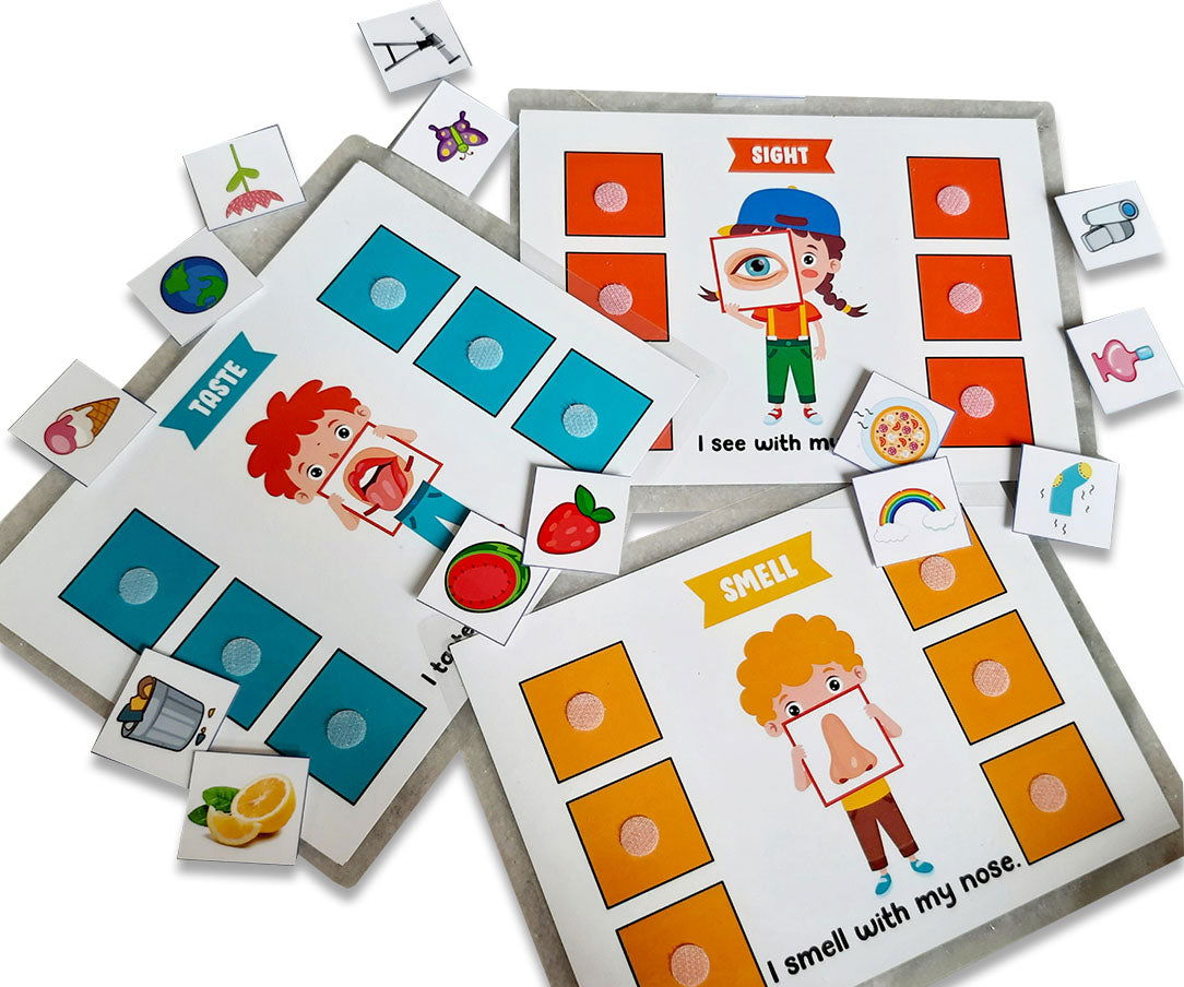5 Senses sorting Activity Games - Tinycubs - 