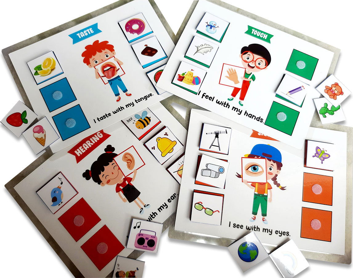 5 Senses sorting Activity Games - Tinycubs - 
