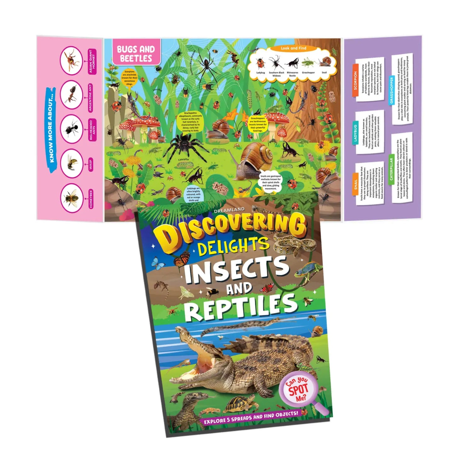 Insects and Reptiles Discovering Delights Flap Book for Kids Age 4 - 10 years