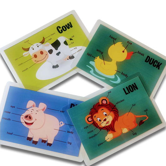 Animal Body Parts Flashcards - Tinycubs - 