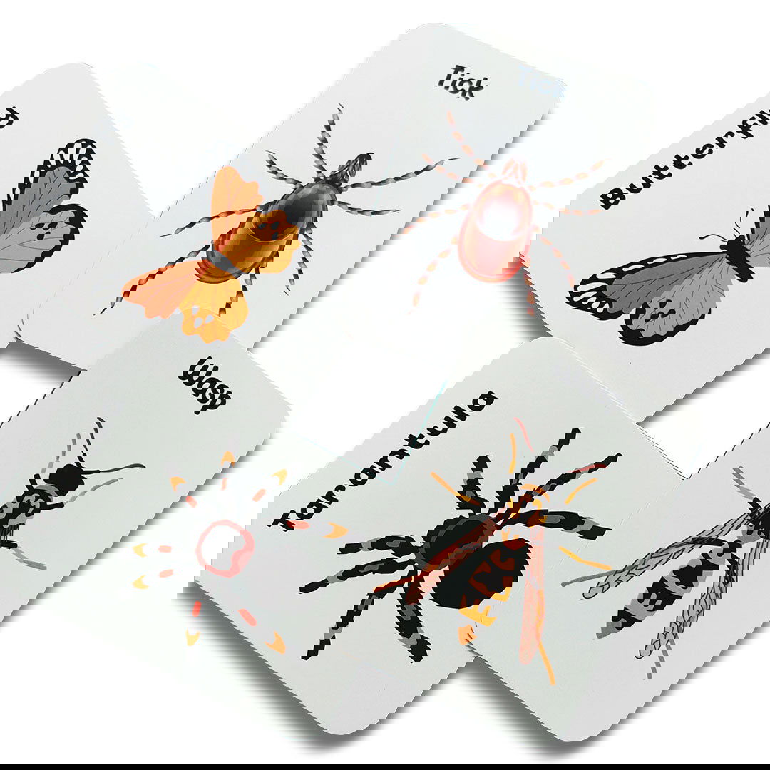 Animal world combo flashcards ( Animals, Birds, Insects and sea animals) - Tinycubs - 