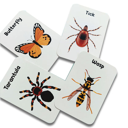 Animal world combo flashcards ( Animals, Birds, Insects and sea animals) - Tinycubs - 