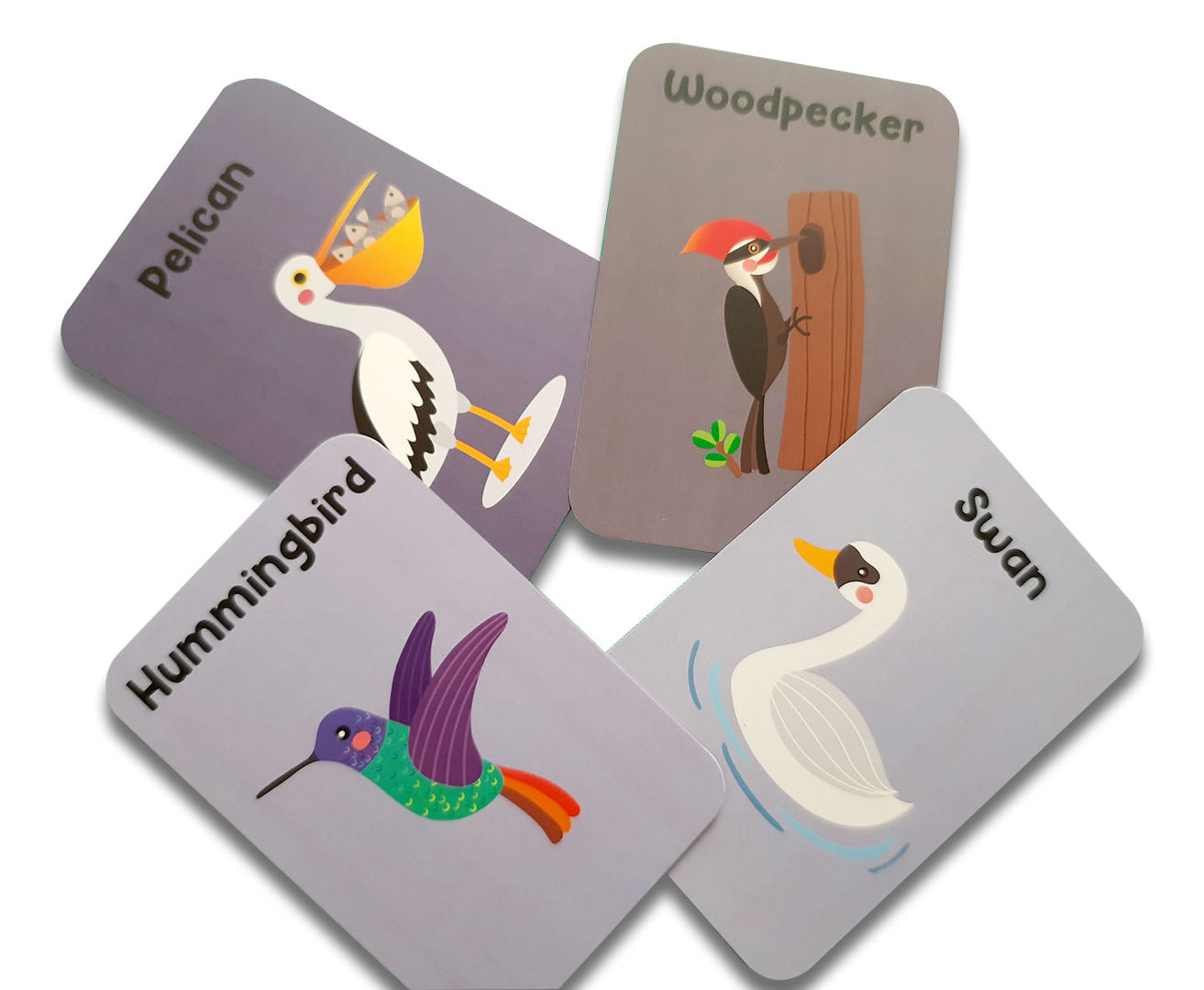 Animal world combo flashcards ( Animals, Birds, Insects and sea animals) - Tinycubs - 