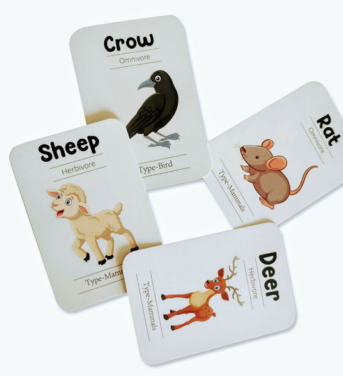 Animals Flash Cards - Pack of 24 - Tinycubs - 