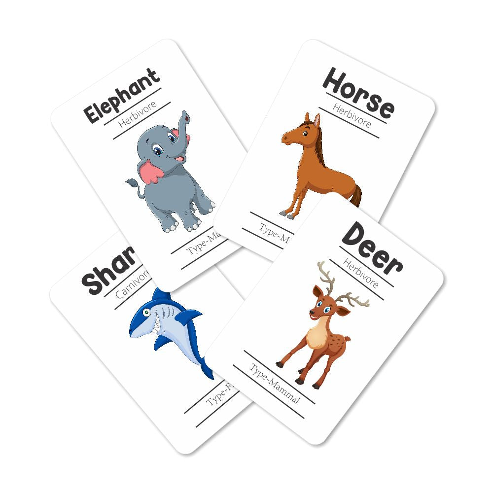 Animals Flash Cards - Pack of 24 - Tinycubs - 