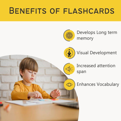 Animals Flash Cards - Pack of 24 - Tinycubs - 