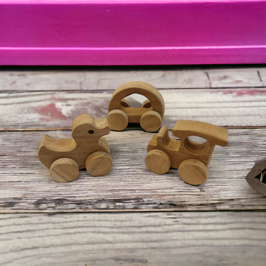 Anti Bacterial & Healthy Push & Pull Toys- Duck, Train & Hallow Car - Tinycubs - 