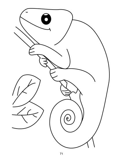 Bumper Colouring Book - 2 - Tinycubs - 