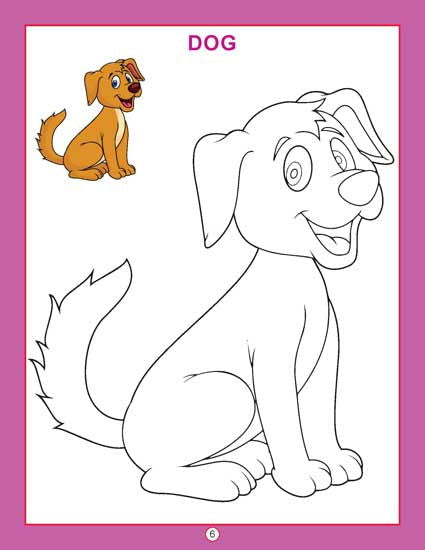 Copy Colour - Animals - Tinycubs - 