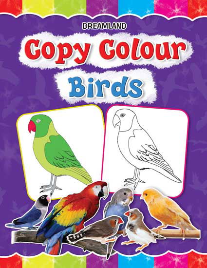 Copy Colour - Birds - Tinycubs - 