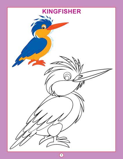 Copy Colour - Birds - Tinycubs - 