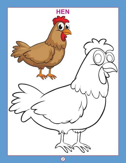 Copy Colour - Birds - Tinycubs - 