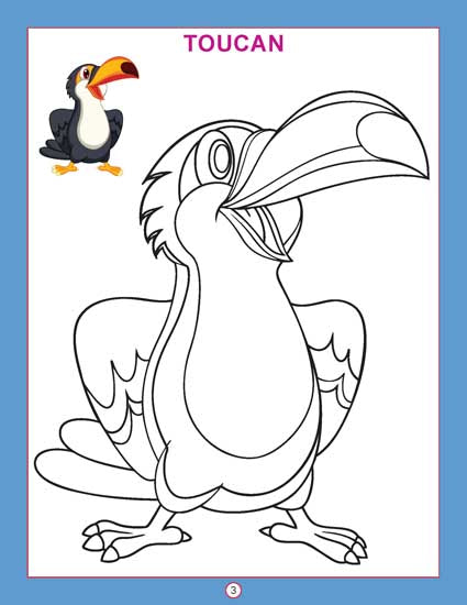 Copy Colour - Birds - Tinycubs - 