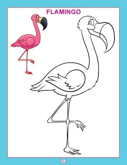 Copy Colour - Birds - Tinycubs - 