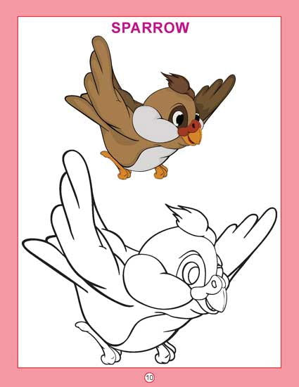 Copy Colour - Birds - Tinycubs - 
