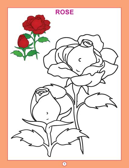 Copy Colour - Flowers - Tinycubs - 