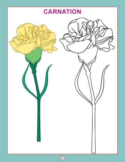 Copy Colour - Flowers - Tinycubs - 