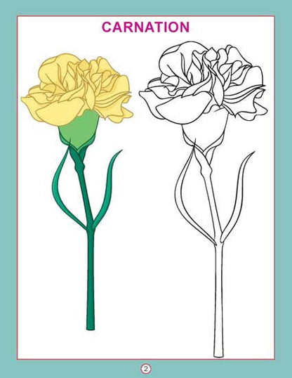 Copy Colour - Flowers - Tinycubs - 