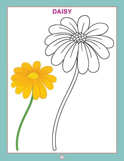 Copy Colour - Flowers - Tinycubs - 
