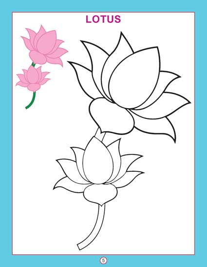 Copy Colour - Flowers - Tinycubs - 