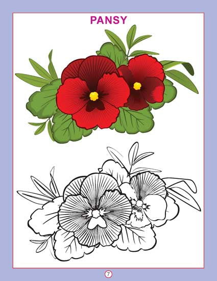 Copy Colour - Flowers - Tinycubs - 
