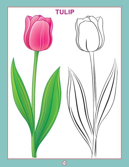 Copy Colour - Flowers - Tinycubs - 