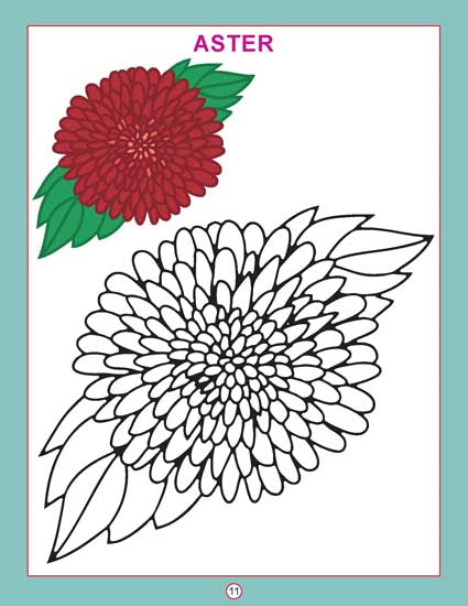Copy Colour - Flowers - Tinycubs - 