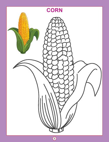 Copy Colour - Vegetables - Tinycubs - 