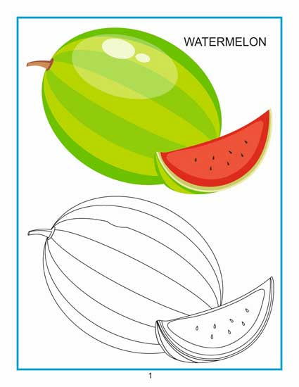 Creative Colouring Book - Fruits - Tinycubs - 