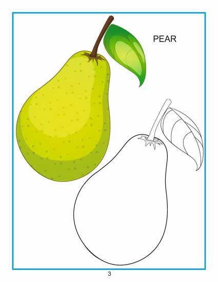 Creative Colouring Book - Fruits - Tinycubs - 