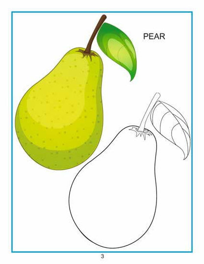 Creative Colouring Book - Fruits - Tinycubs - 