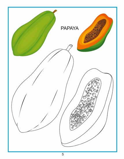 Creative Colouring Book - Fruits - Tinycubs - 