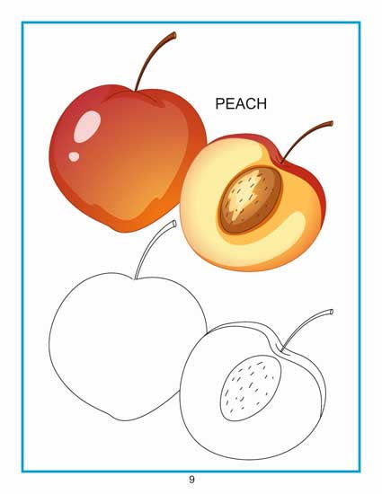 Creative Colouring Book - Fruits - Tinycubs - 