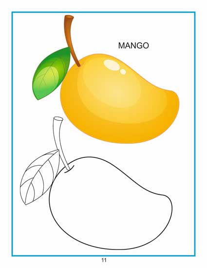 Creative Colouring Book - Fruits - Tinycubs - 