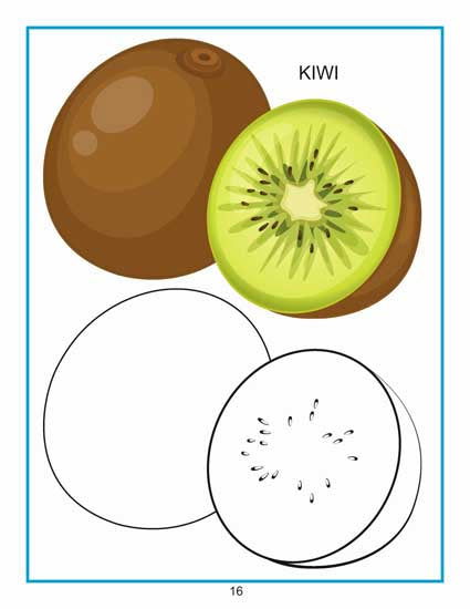 Creative Colouring Book - Fruits - Tinycubs - 