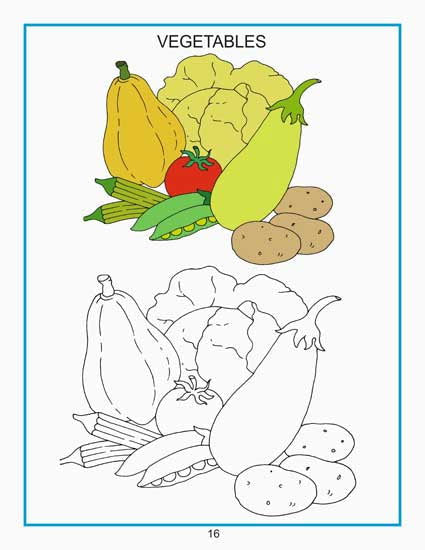 Creative Colouring Book - Vegetables - Tinycubs - 