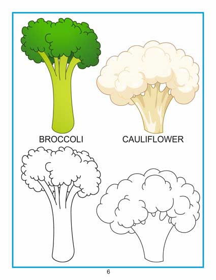 Creative Colouring Book - Vegetables - Tinycubs - 