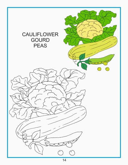 Creative Colouring Book - Vegetables - Tinycubs - 