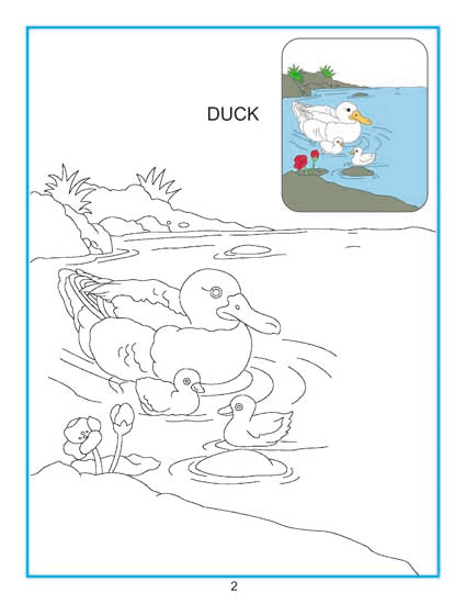Creative Colouring book - 10 titles (Pack) - Tinycubs - 