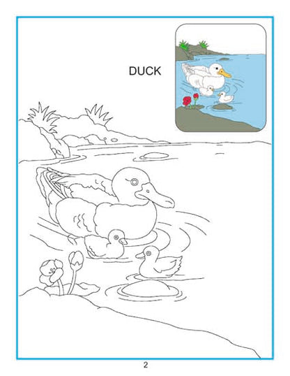 Creative Colouring book - 10 titles (Pack) - Tinycubs - 