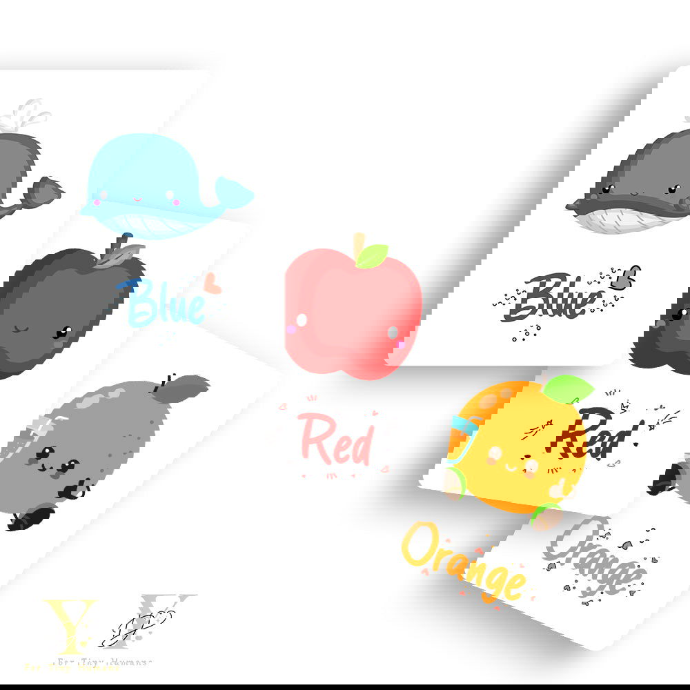 Doodle'S Flash Cards - Colours - Tinycubs - 