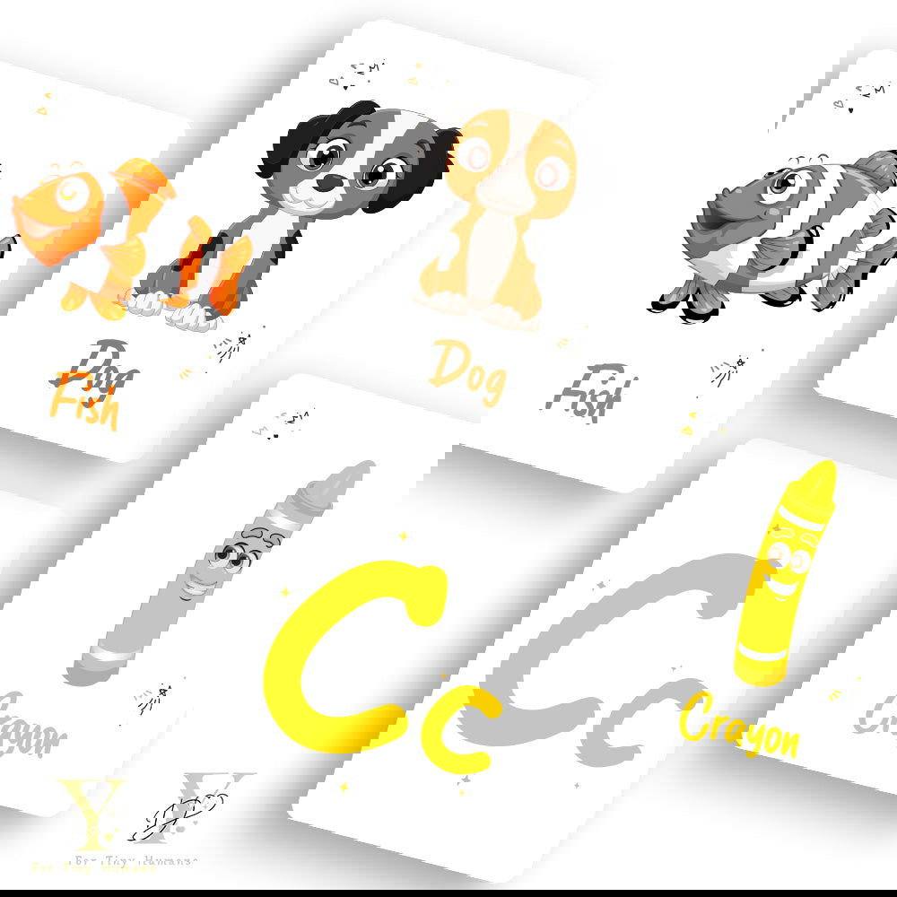 Doodle'S Flash Cards Collection- Numbers & Abc - Tinycubs - 