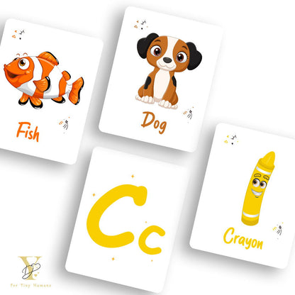 Doodle'S Flash Cards Collection- Numbers & Abc - Tinycubs - 