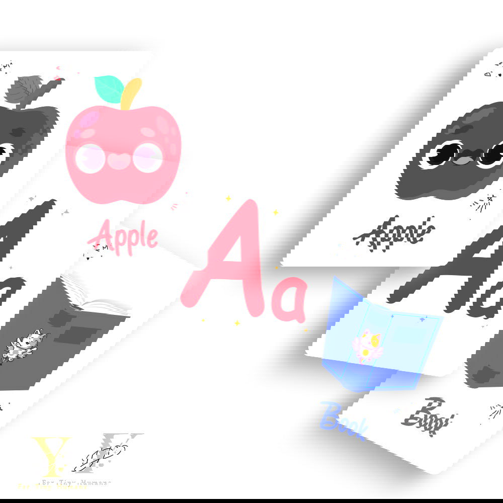 Doodle'S Flash Cards Collection- Numbers & Abc - Tinycubs - 