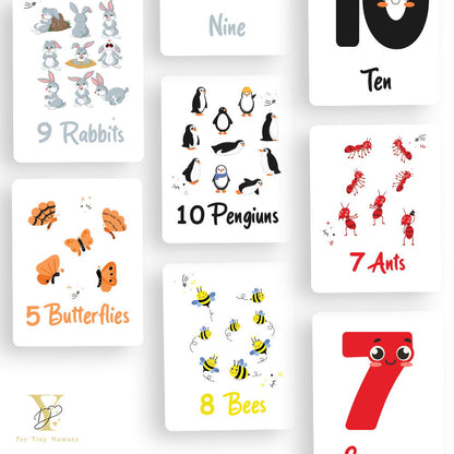Doodle'S Flash Cards Collection- Numbers & Abc - Tinycubs - 
