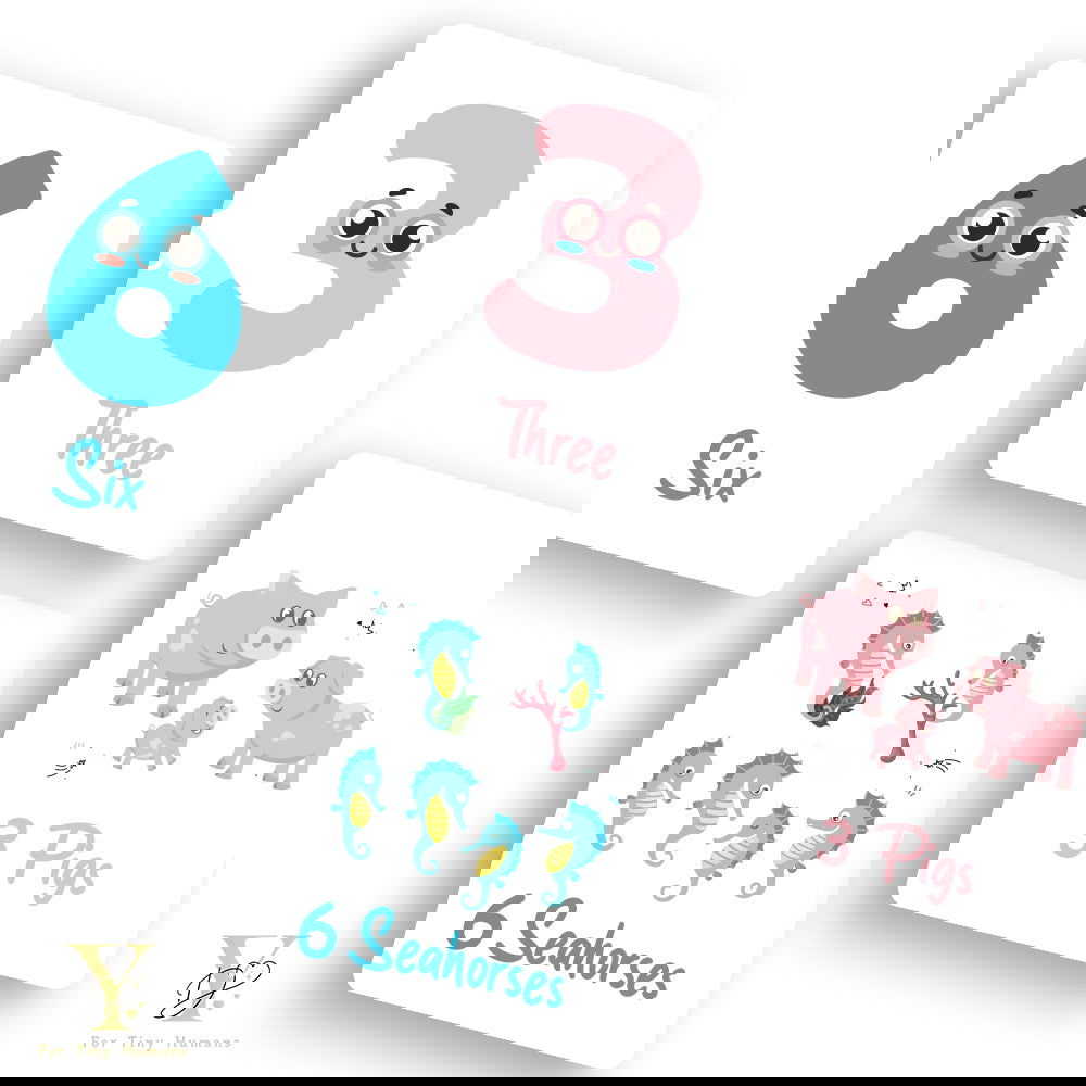 Doodle'S Flash Cards Collection- Numbers & Abc - Tinycubs - 
