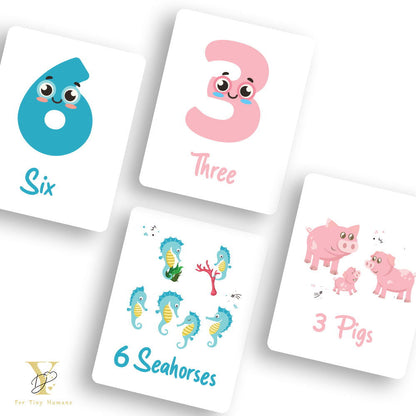 Doodle'S Flash Cards Collection- Numbers & Abc - Tinycubs - 