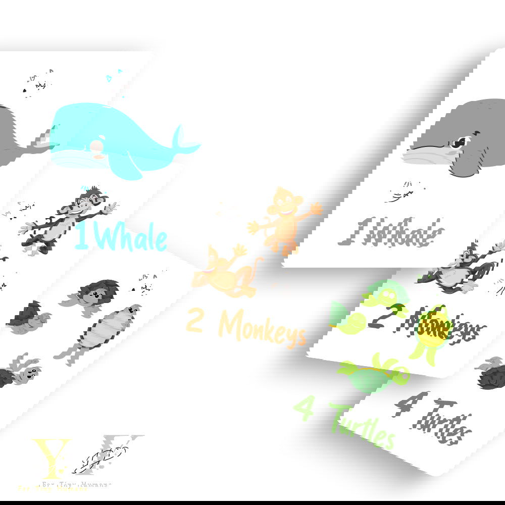 Doodle'S Flash Cards Collection- Numbers & Abc - Tinycubs - 